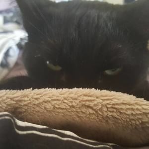 Meet your Posher, Christine